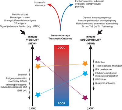 Concepts Collide: Genomic, Immune, and Microbial Influences on the Tumor Microenvironment and Response to Cancer Therapy